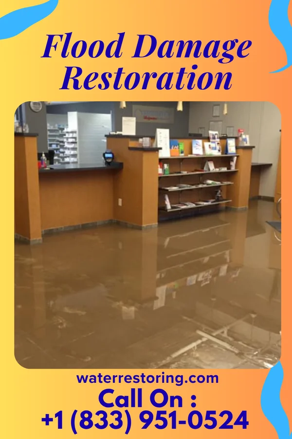 Flood Damage Restoration in Aventura, FL
