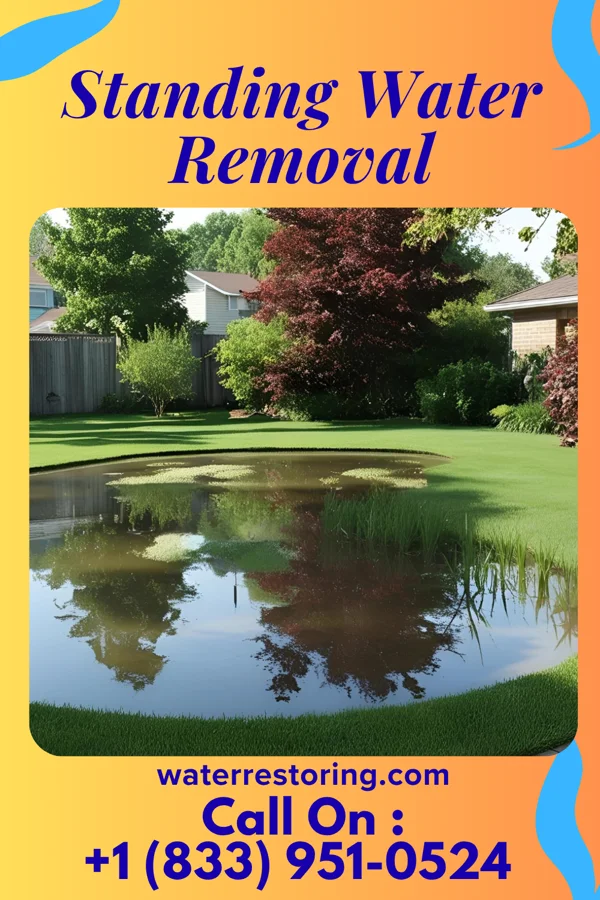 Standing Water Removal in Aventura, FL